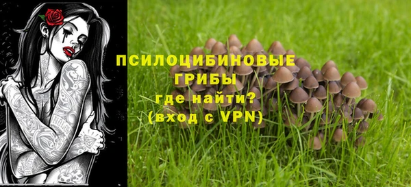 бутират Алексеевка