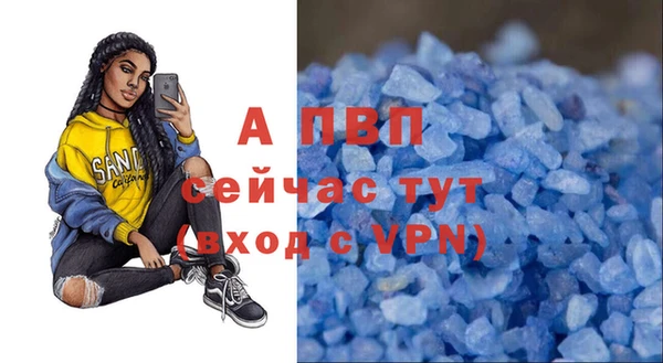 соль ск Алексин